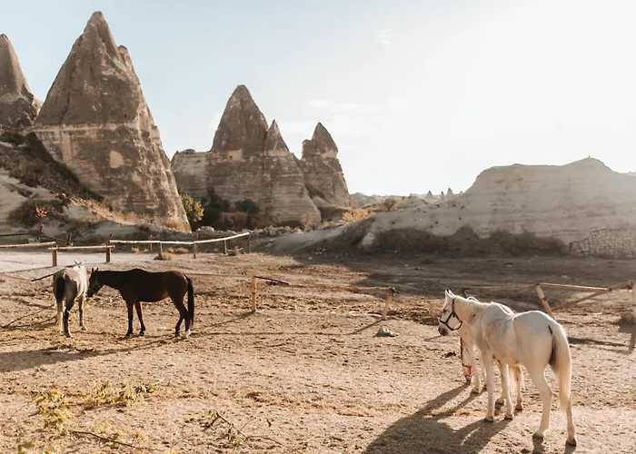 Hotel Sandik Cave House